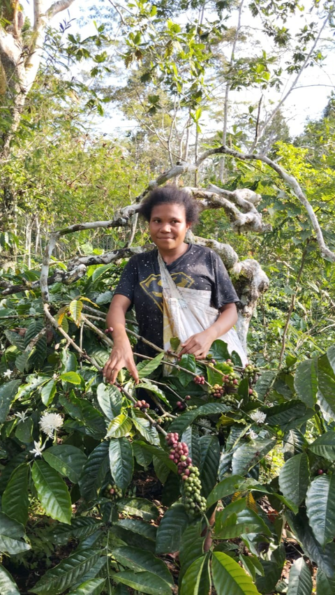 Bernama Kelompok Usaha Rimba Kakupi Ambaidiru, kelompok usaha ini sudah berdiri sejak tahun 1975.