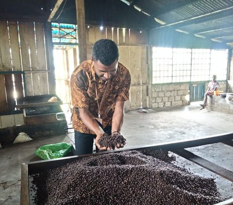 FOTO: ‘Klasterkuhidupku’, Kopi Ambaidiru dari Papua Terus Berkembang dan Mampu Jangkau Pasar Lebih Luas