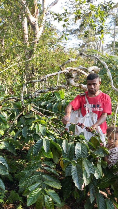 Kelompok Usaha Rimba Kakupi Ambaidiru juga mendapatkan pembinaan, khususnya untuk para petani.