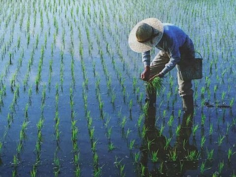 4 Fakta Kesejahteraan Petani Jatim Meningkat selama Lima Tahun Terakhir, Sektor Holtikultura Paling Cuan