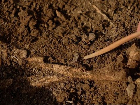 70 Makam Misterius Ditemukan di Halaman Kastil, Bikin Arkeolog Garuk-Garuk Kepala