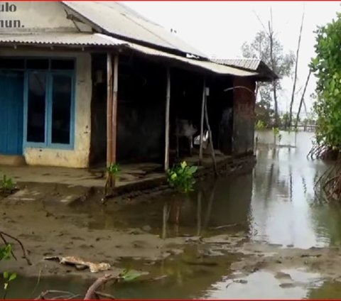 Kisah Kampung Mati Simonet Pekalongan, Ditinggalkan Penduduknya Karena Banjir Rob