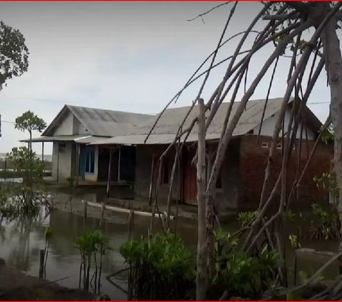 Kisah Kampung Mati Simonet Pekalongan, Ditinggalkan Penduduknya Karena Banjir Rob