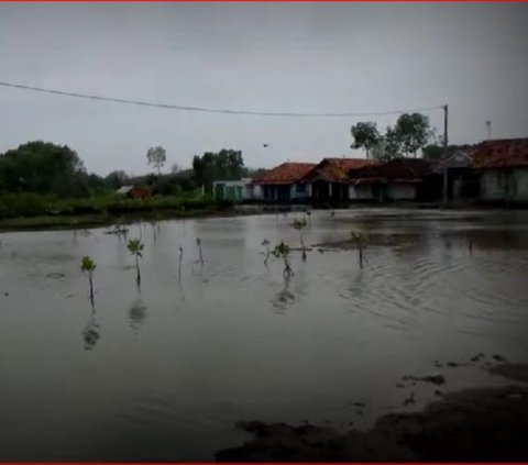 Kisah Kampung Mati Simonet Pekalongan, Ditinggalkan Penduduknya Karena Banjir Rob