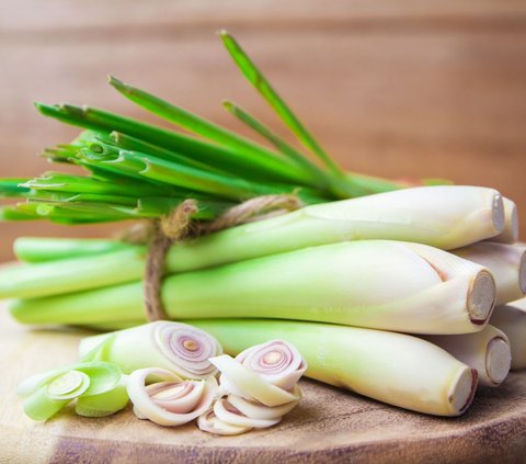 Cara Usir Cicak dan Lalat, Hanya Modal 3 Bahan yang Ada di Rumah