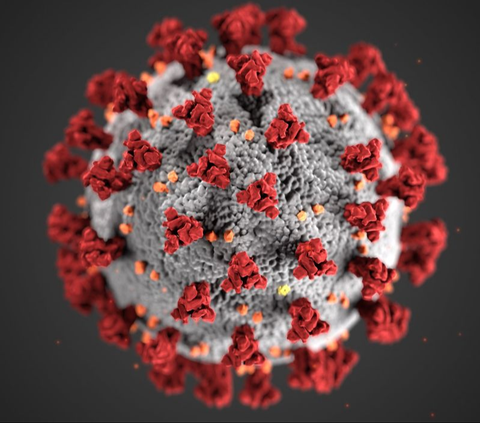 Mengenal Bentuk Virus dan Karakteristiknya, Perlu Diketahui