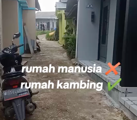 Viral Rumah Kambing Mewah di Banjarnegara, Begini Penampakannya yang Bikin Takjub Warganet