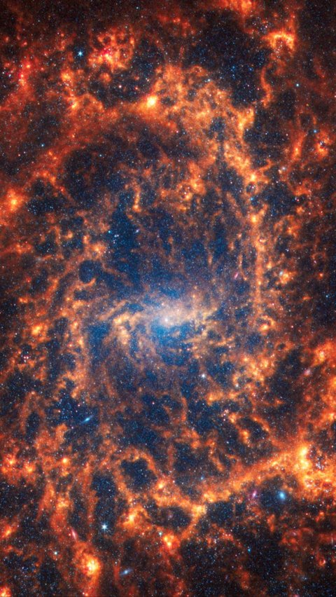 Galaksi spiral SS NGC 2835, yang terletak 35 juta tahun cahaya dari Bumi, terlihat dalam gambar tak bertanggal yang ditangkap Teleskop Luar Angkasa James Webb. Foto: PHANGS team/Handout via REUTERS