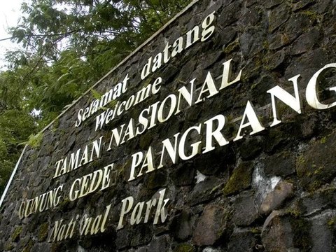 Facts and Conditions of 13 Missing Climbers on Mount Pangrango While Going on a Pilgrimage to a Sacred Place