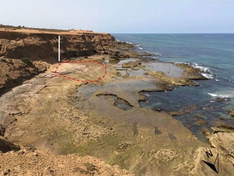 85 Jejak Kaki Makhluk Berusia 90.000 Tahun Ditemukan di Pantai, Ternyata Milik Spesies Manusia Ini