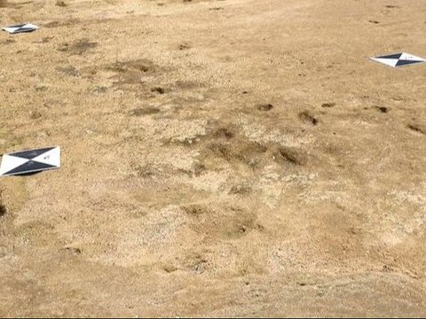 85 Jejak Kaki Makhluk Berusia 90.000 Tahun Ditemukan di Pantai, Ternyata Milik Spesies Manusia Ini