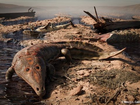 Giant Amphibian Discovery in the Triassic Era Begins to be Unearthed in Brazil