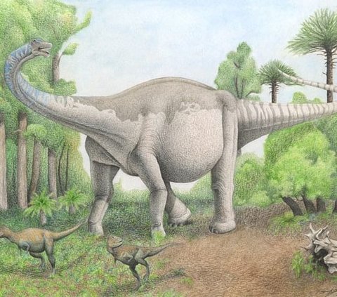 Getting to Know More, Bustingorrytitan Shiva, the New Giant Titanosaurus from Argentina