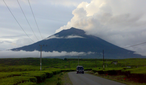 <b>Manusia Harimau atau Cindaku</b>