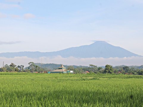 Penampakan Manusia Kerdil