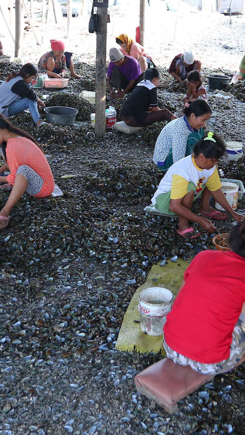 Limbah Kulit Kerang Ternyata Bisa ‘Disulap’ Jadi Paving Block & Closet Jongkok, Begini Caranya