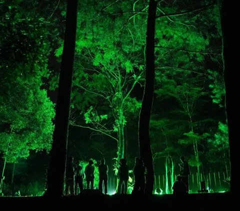 Fakta Menarik Luma Roots di Yogya, Pertunjukan Cahaya dengan Latar Pepohonan Penuh Makna Filosofis