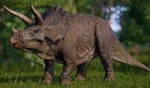 Apakah badak berkerabat dengan dinosaurus seperti Triceratops?