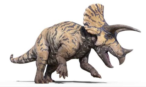 Apakah Benar Badak Keturunan Dinosaurus Jenis Triceratops?