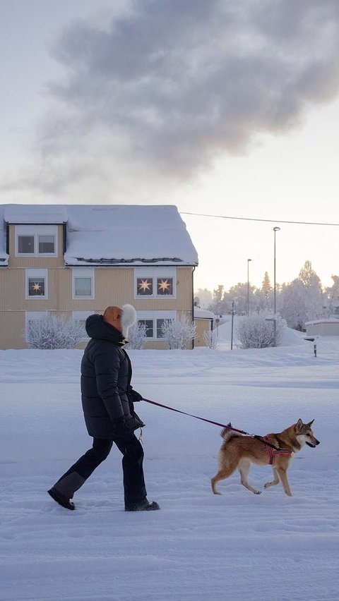 Di wilayah Nordik, yang berada di ujung utara Swedia, suhu tercatat mencapai minus 43,6 derajat Celcius.