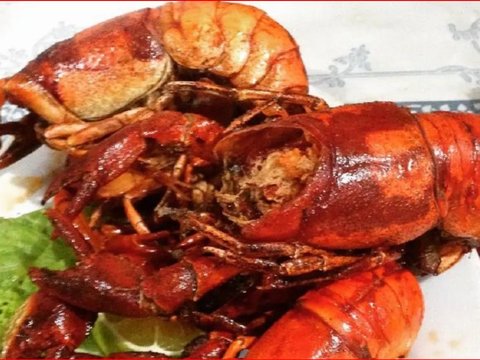 Mencicipi Udang Selingkuh, Lobster Air Tawar dari Papua Hasil Perselingkuhan Udang dan Kepiting