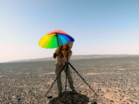 The Hottest Desert on Earth is the Lut Desert, Only This Animal Can Survive