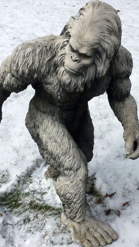 Discovery of Yeti Hair, the Snow Creature in the Himalayas Turns Out to Come from Horses