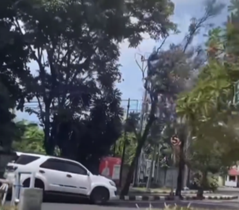 Viral Aksi Pengendara Mobil Nekat Terobos Trotoar karena Jalan Utama Ditutup, Bikin Geleng Kepala