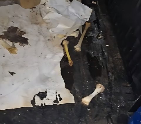 Owner Shocked When Checking the Girl's Boarding Room, Mortar and Pestle Mixed with Trash, Wardrobe Filled with Dirty Dishes and Chicken Bones