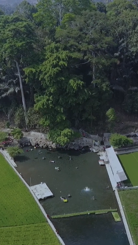 <b>Sensasi Unik Berenang di Mata Air Cikandung Sumedang, Kolamnya Jernih dan Ada di Tengah Sawah</b><br>