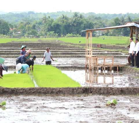 Anggaran Subsidi Pupuk Ditambah Rp14 Triliun, Mekanisme Penebusan Hanya Pakai KTP