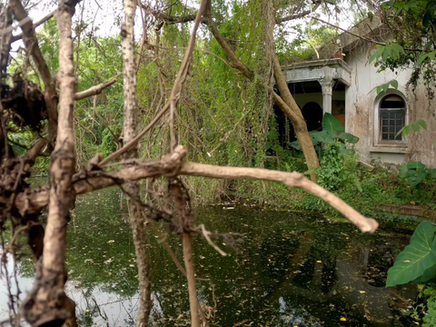 Portrait of a Luxury House owned by a Senior Artist, Abandoned for 30 Years with a Flood Victim's Grave in the Yard