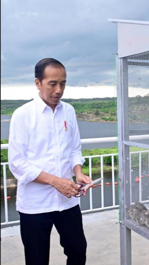 Diresmikan Jokowi, Bendungan Karian di Banten Pasok Kebutuhan Air serta Jakarta