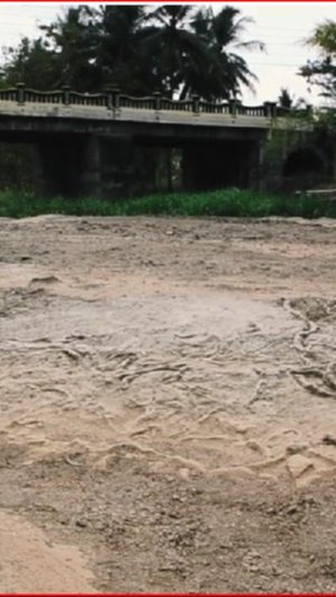 Melihat Keunikan Geosite Kali Ngalang di Gunungkidul, Bekas Pantai Purba yang Tersembunyi di Bawah Jembatan