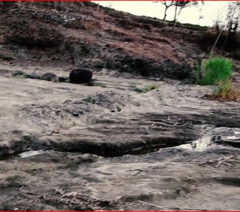 Melihat Keunikan Geosite Kali Ngalang di Gunungkidul, Bekas Pantai Purba yang Tersembunyi di Bawah Jembatan