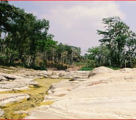 Melihat Keunikan Geosite Kali Ngalang di Gunungkidul, Bekas Pantai Purba yang Tersembunyi di Bawah Jembatan