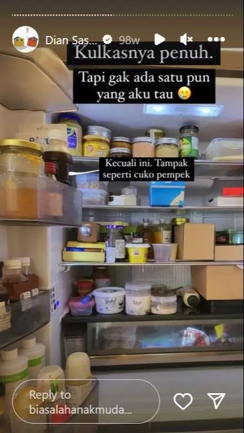 This is a portrait of Dian Sastro's refrigerator contents, which looks very complete.