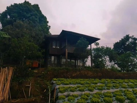 Ini Potret Rumah Megah Anjasmara di Tengah Sawah yang Terbengkalai, Kenapa ya?