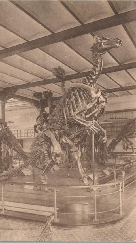 Inilah Sosok Penemu Fosil Dinosaurus Pertama Kali, 500 Tahun Sebelum Ilmuwan Inggris