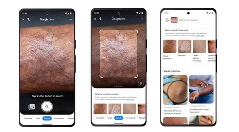 Google Lens. Kredit: Google