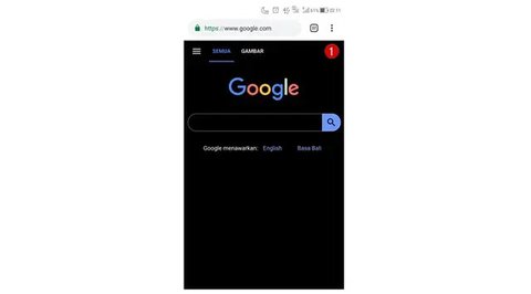 Fitur Password Checkup pada Google (Foto: Screenshot Password Checkup)
