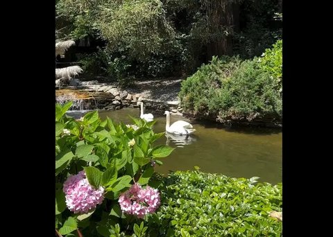 Ruang khusus di Hotel Bel-Air untuk memajang foto-foto Marilyn Monroe. (dok. Instagram @hotelbelair/https://www.instagram.com/reel/CQyfdysnEjq/Dinny Mutiah)