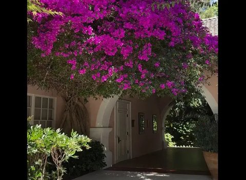Ruang khusus di Hotel Bel-Air untuk memajang foto-foto Marilyn Monroe. (dok. Instagram @hotelbelair/https://www.instagram.com/reel/CQyfdysnEjq/Dinny Mutiah)