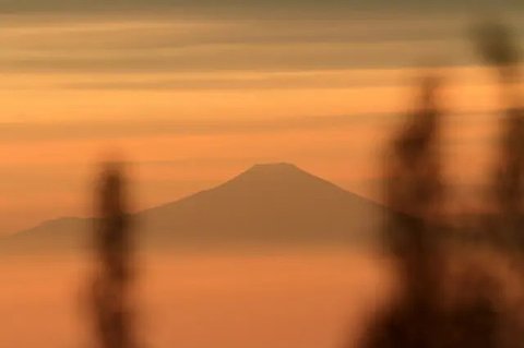 Hutan lindung di lereng Gunung Slamet. (Foto: Liputan6.com/Muhamad Ridlo)