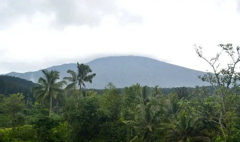 Hutan lindung di lereng Gunung Slamet. (Foto: Liputan6.com/Muhamad Ridlo)