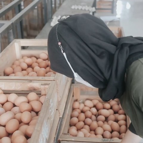 Pandemi Bawa Berkah, Bikin Wanita Asal Bekasi Jadi Juragan Telur