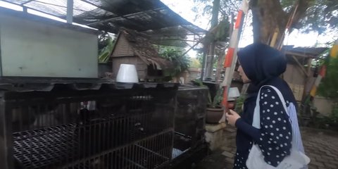 9 Potret Halaman Rumah Rano Karno yang Luas, Ada Kolam Renang - Oplet Legendaris Film SI DOEL Bikin Nostalgia