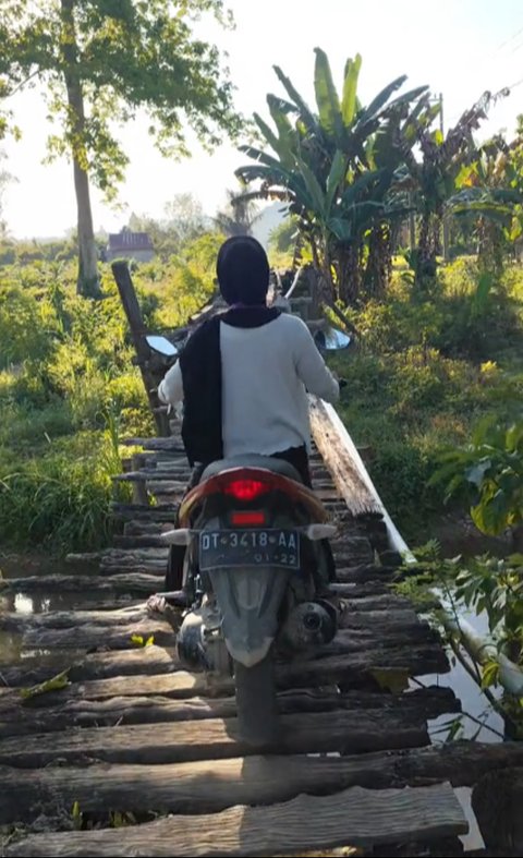 Ekstrim Parah, Aksi Pemotor Wanita Lewati Jembatan Kayu Ini Bikin Ngeri Warganet