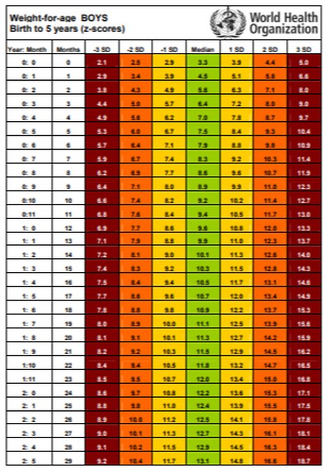Tabel Berat Badan Anak Usia 1-5 Tahun Menurut WHO