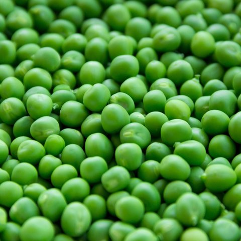 kacang